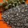 chia seeds